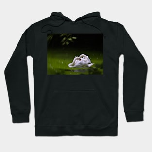 Swan Lake Hoodie